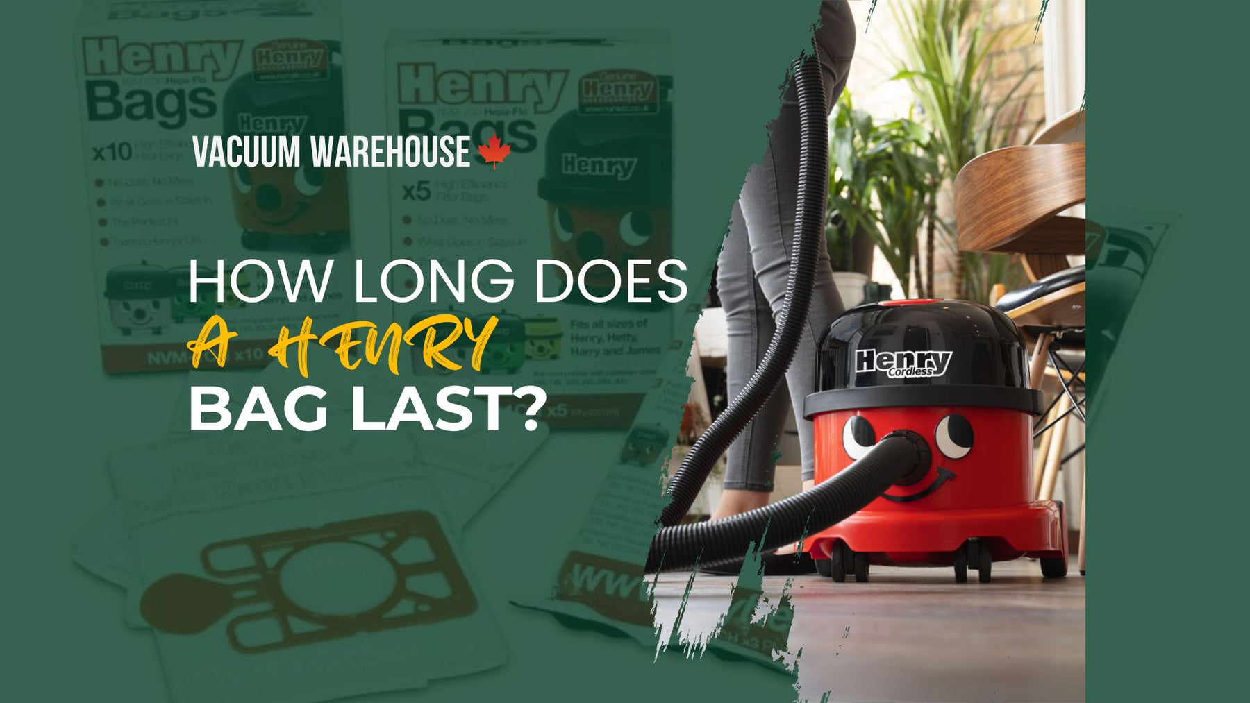 How long does a Henry bag last?