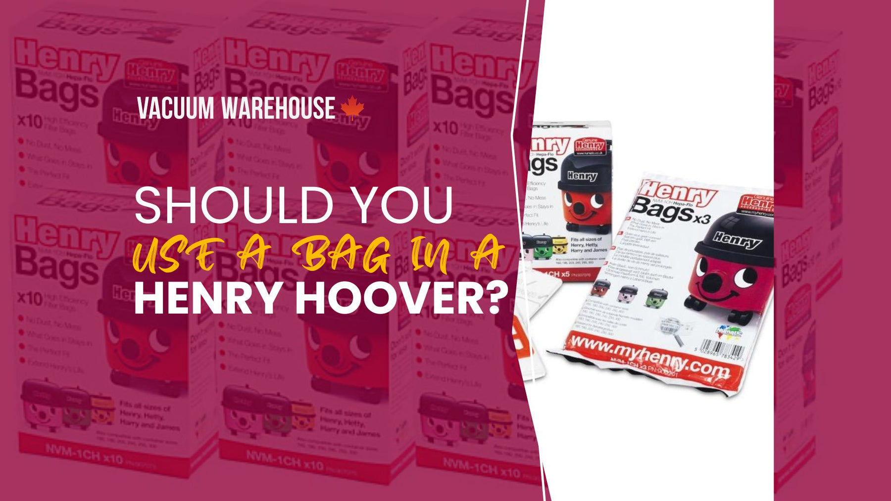 Should you use a bag in a Henry Hoover?