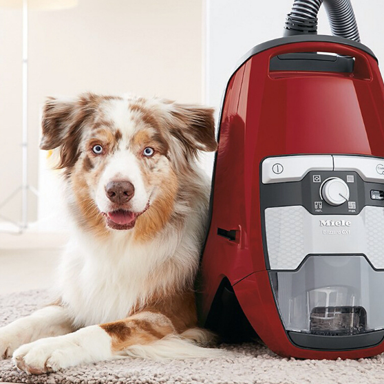 Best Canister Vacuum Cleaners For Pet Hair in 2022.