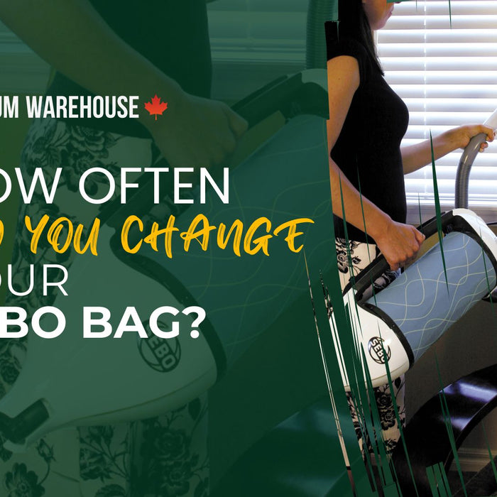 How often do you change your SEBO bag?