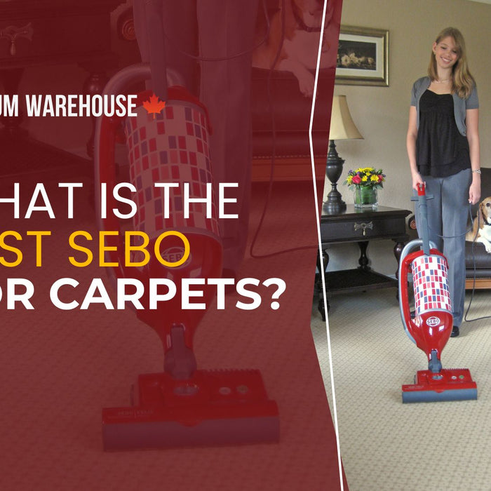 What is the best SEBO for Carpets?